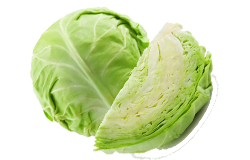 cabbage